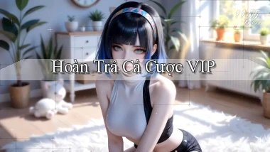 Hoàn trả Cá cược VIP