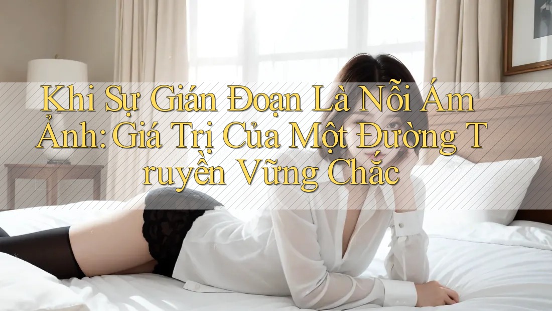 Khi Sự Gián Đoạn Là Nỗi Ám Ảnh: Giá Trị Của Một Đường Truyền Vững Chắc Khi Sự Gián Đoạn Là Nỗi Ám Ảnh: Giá Trị Của Một Đường Truyền Vững Chắc
