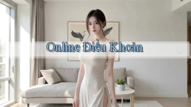 Online Điều khoản