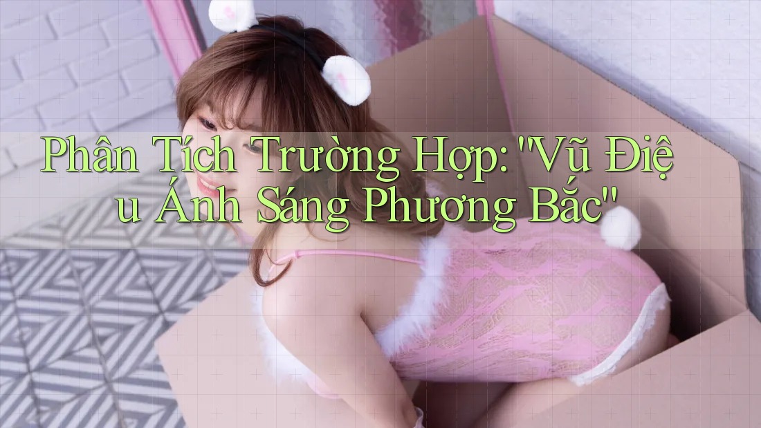 Phân Tích Trường Hợp: “Vũ Điệu Ánh Sáng Phương Bắc” Phân Tích Trường Hợp: “Vũ Điệu Ánh Sáng Phương Bắc”