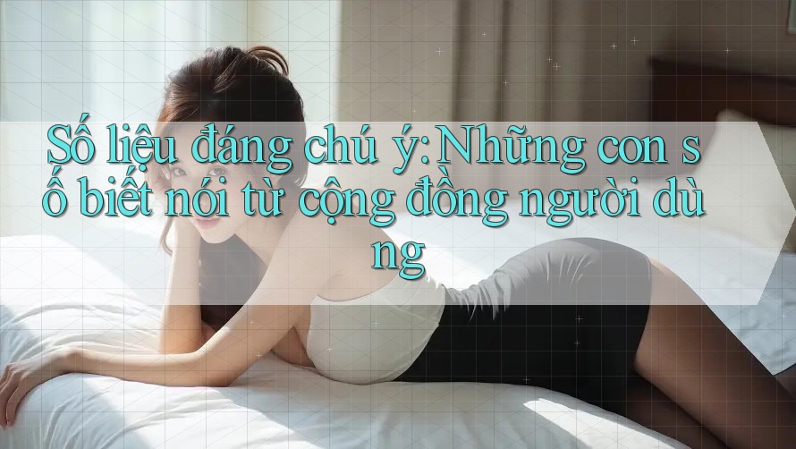 Số liệu đáng chú ý: Những con số biết nói từ cộng đồng người dùng Số liệu đáng chú ý: Những con số biết nói từ cộng đồng người dùng